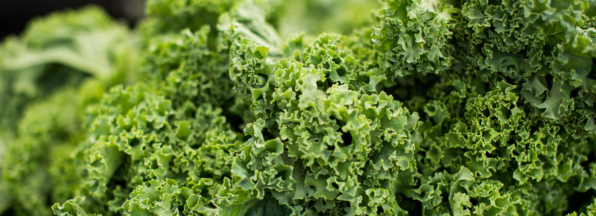 a pile of curly kale leaves.