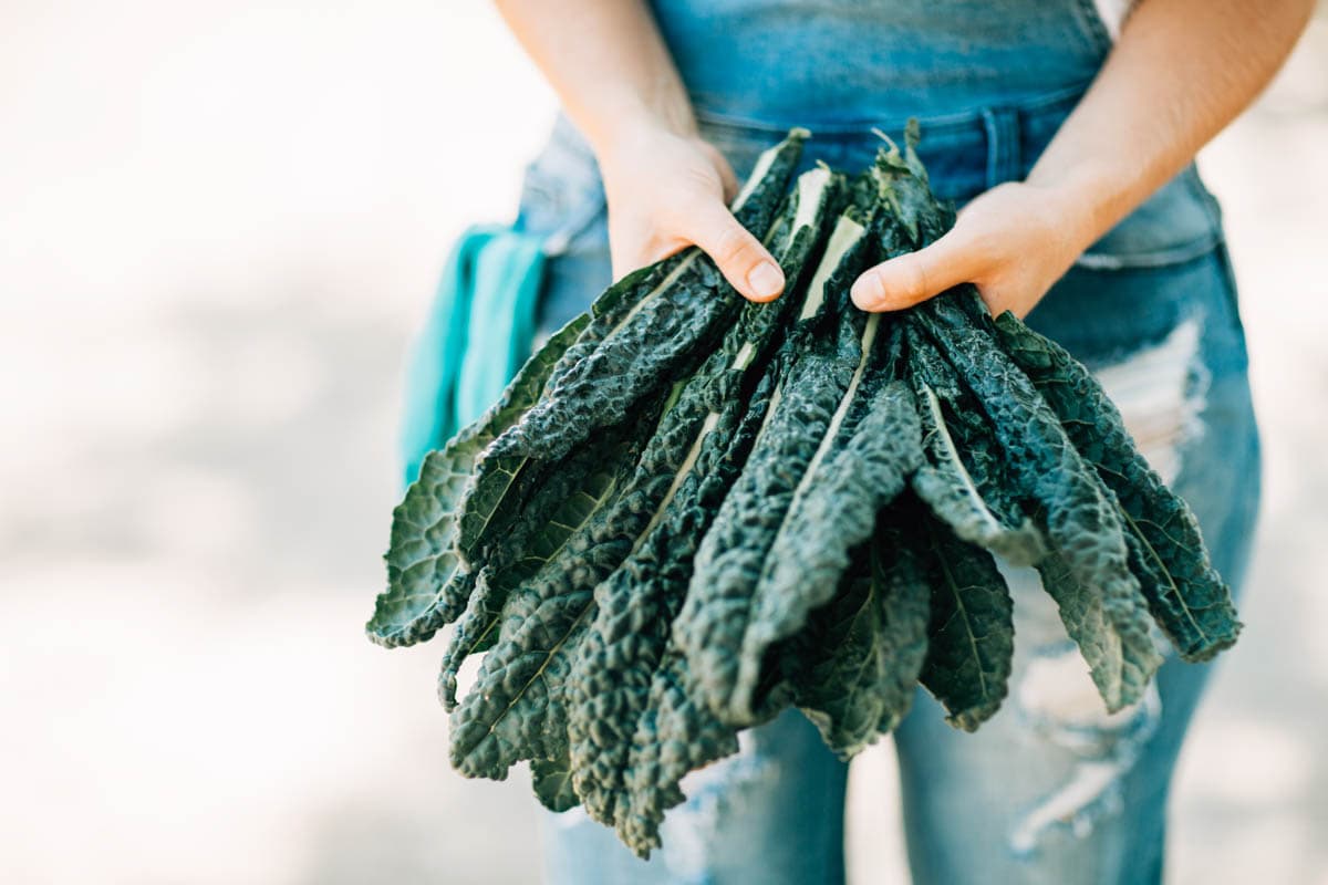 a person holding a handful of fresh kale.