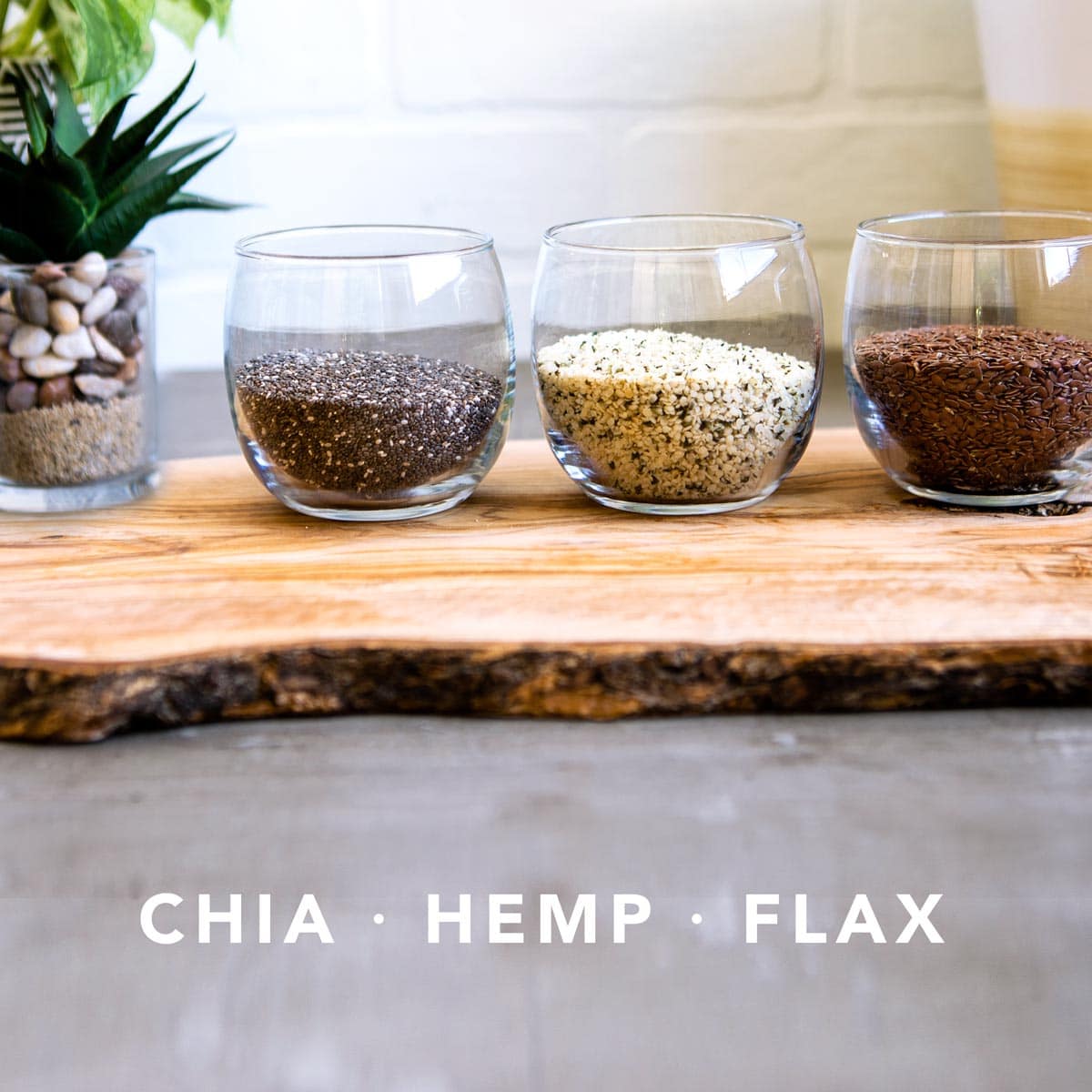 Protein Powder for Smoothies Understanding Whey, Soy, Hemp, & More