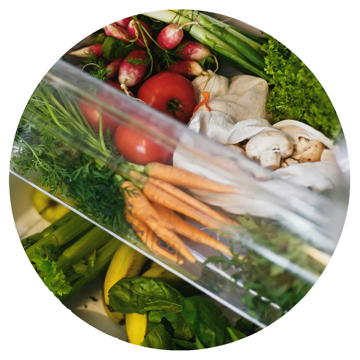 Soup ingredients in fridge after grocery shopping for challenge