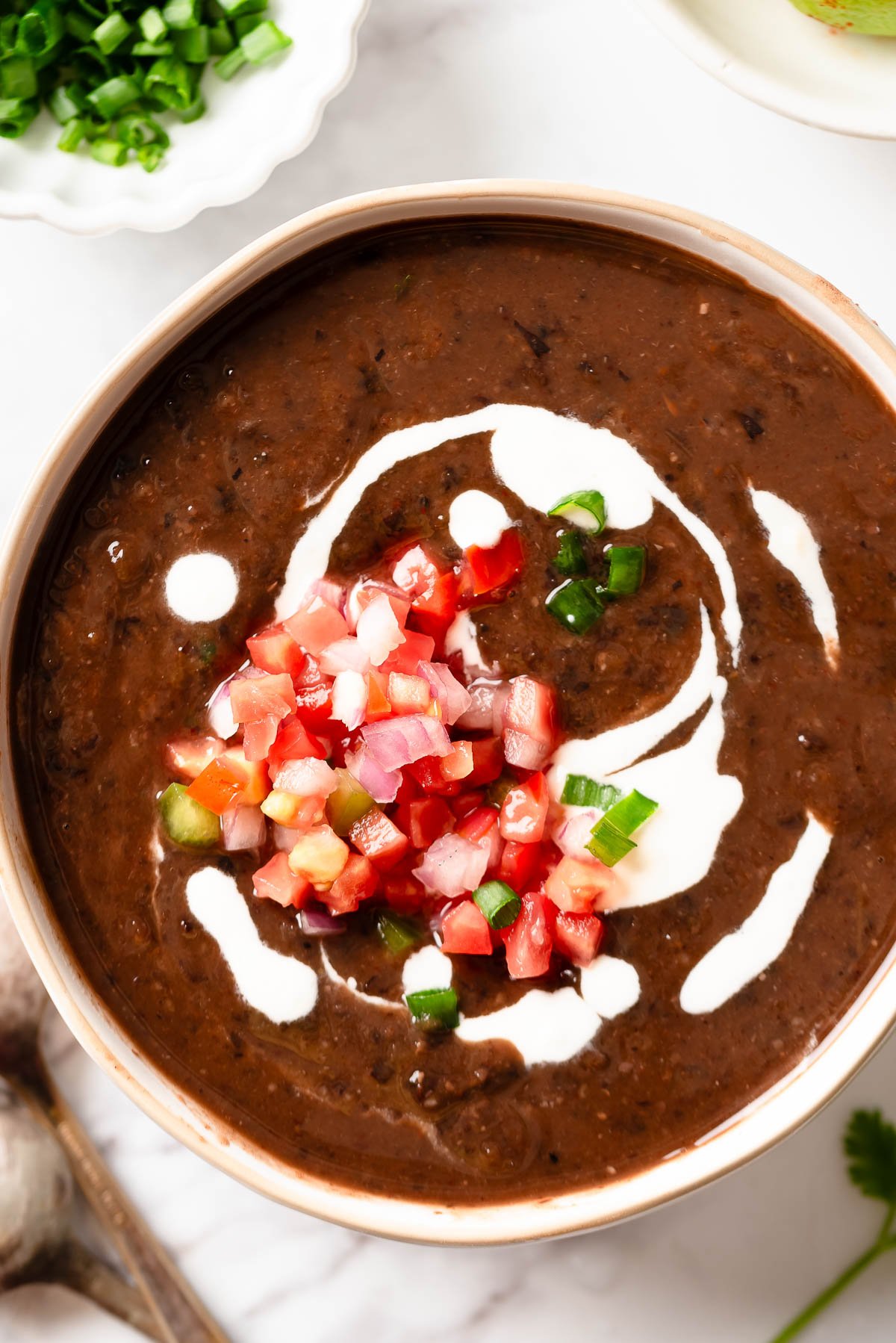 A big bowl of spicy black bean soup ready to eat. 