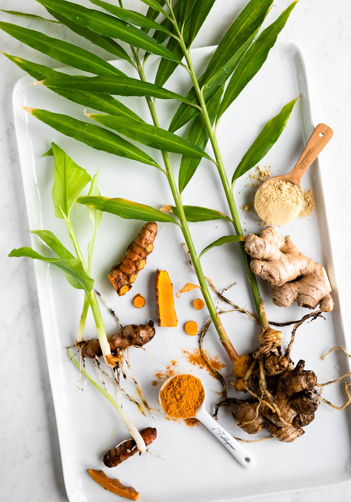 fresh ginger and turmeric roots on a white try next to a white measuring spoon full of turmeric powder.