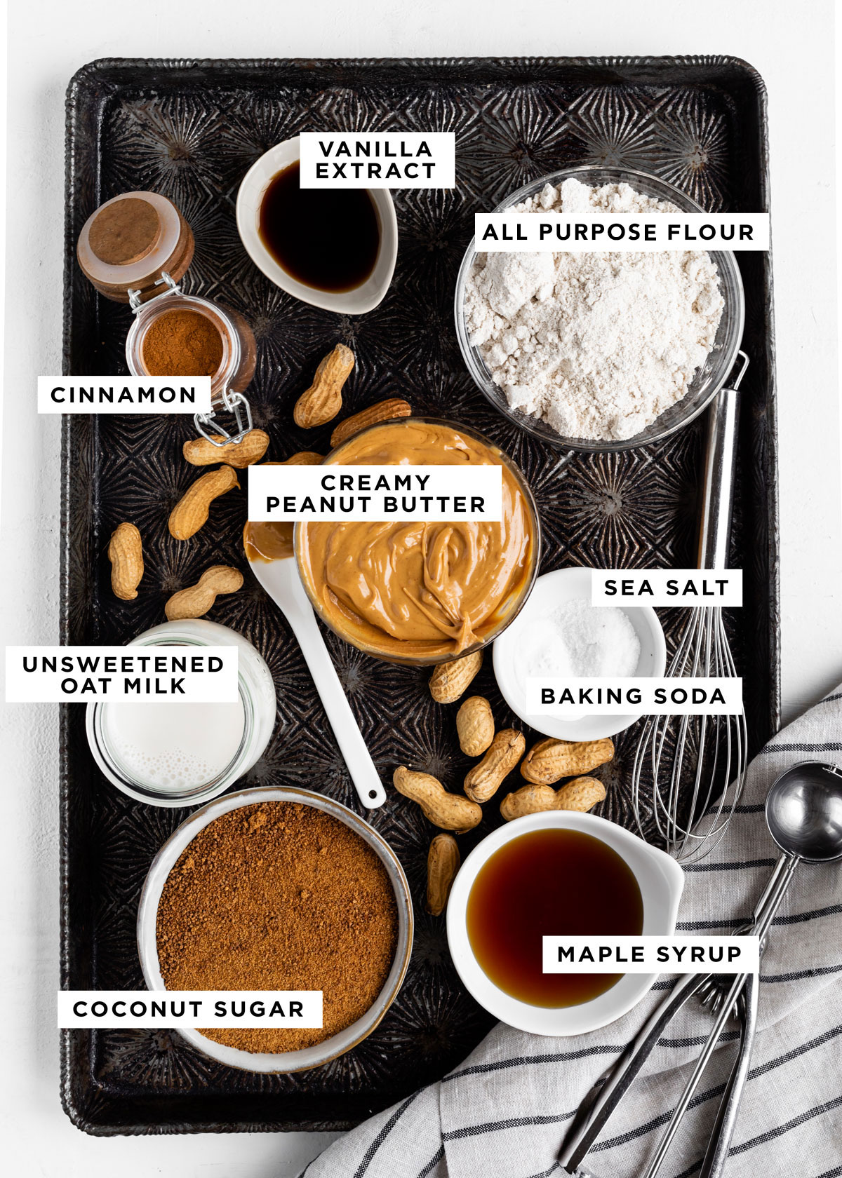 labeled ingredients for vegan peanut butter cookies including vanilla extract, oat flour, cinnamon, creamy peanut butter, sea salt, baking soda, unsweetened oat milk, coconut sugar and maple syrup.