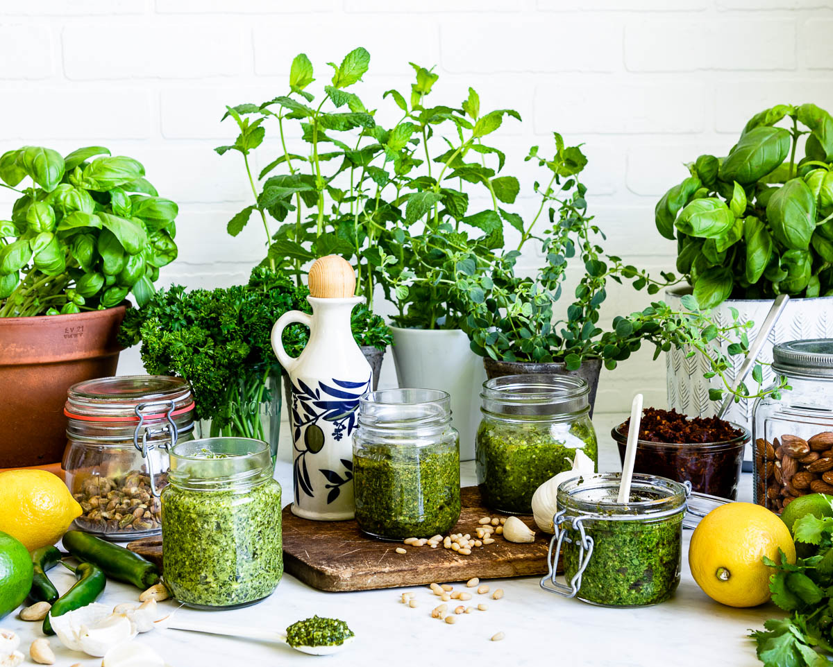 multiple glass jars of vegan pesto recipes surrounded by fresh herbs, lemon and nuts on a white counter top.