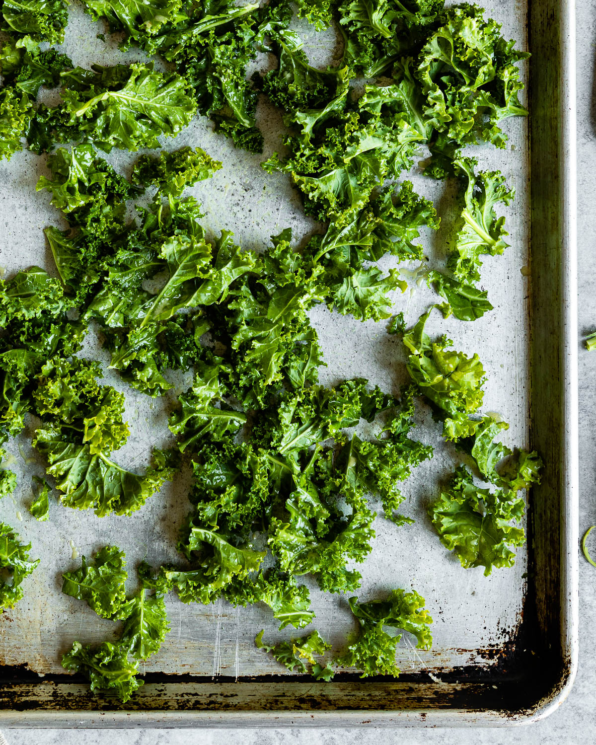 Shredded kale on a sheet pan 